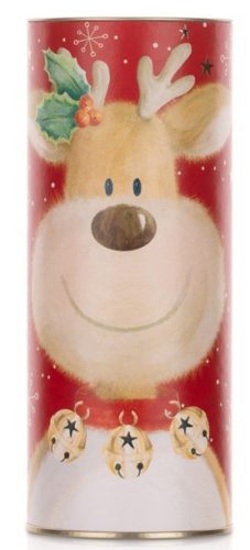 Farmhouse Biscuits Reindeer Ginger Tube 240g
